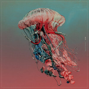 Pre-order vinyl "Tussen Zinnen" nieuwe album MURI